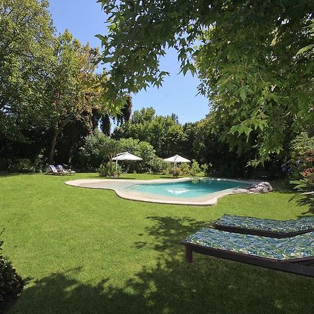 Beluga Of Constantia Guest House Le Cap Extérieur photo