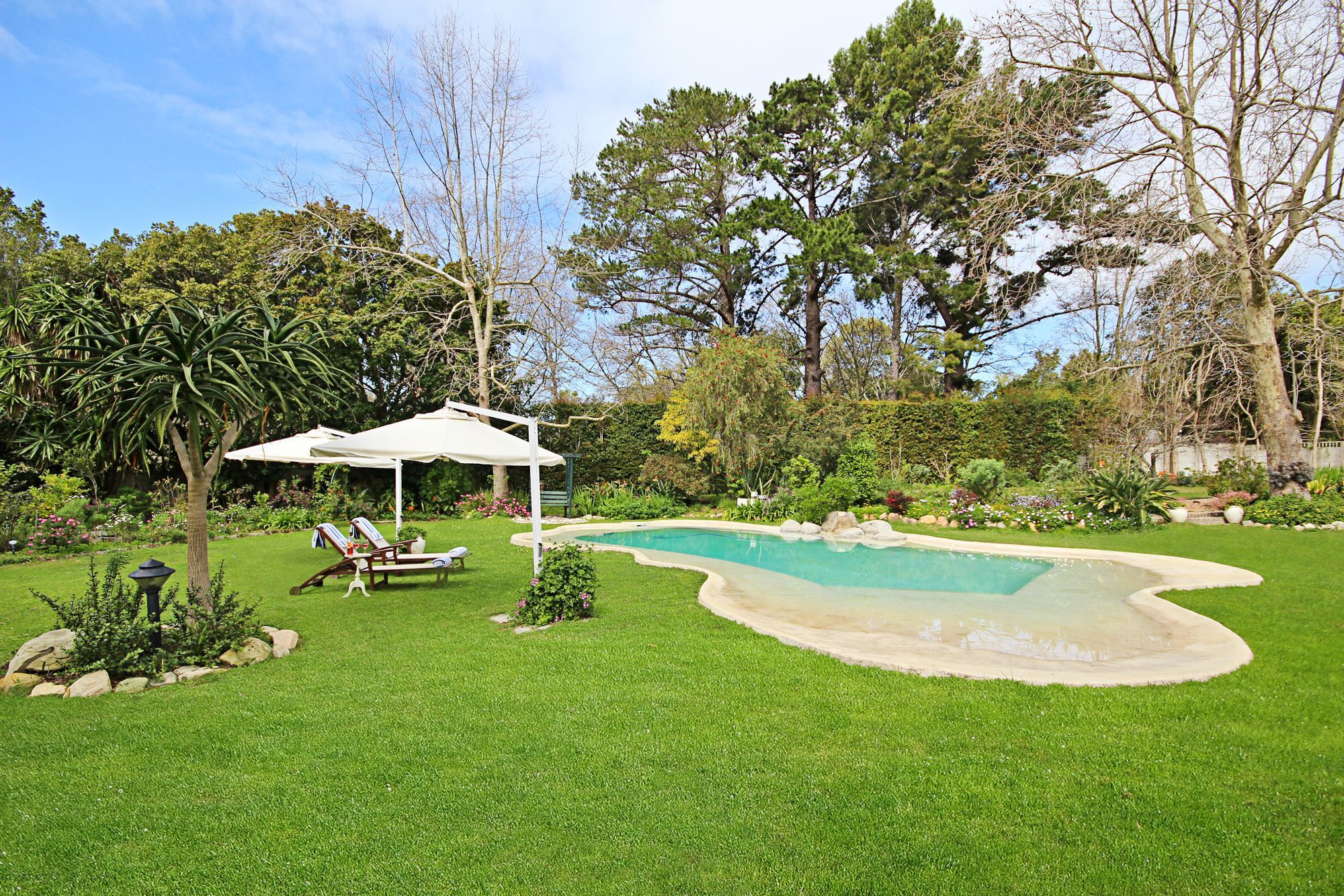 Beluga Of Constantia Guest House Le Cap Extérieur photo